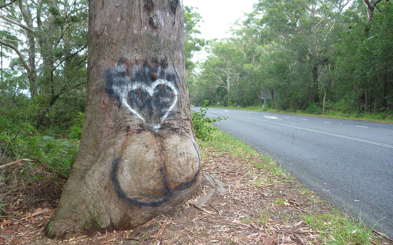 The Bum Tree - Graffiti