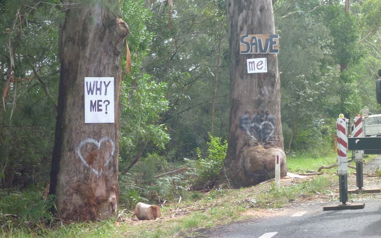 The Bum Tree - Protest - Save Me